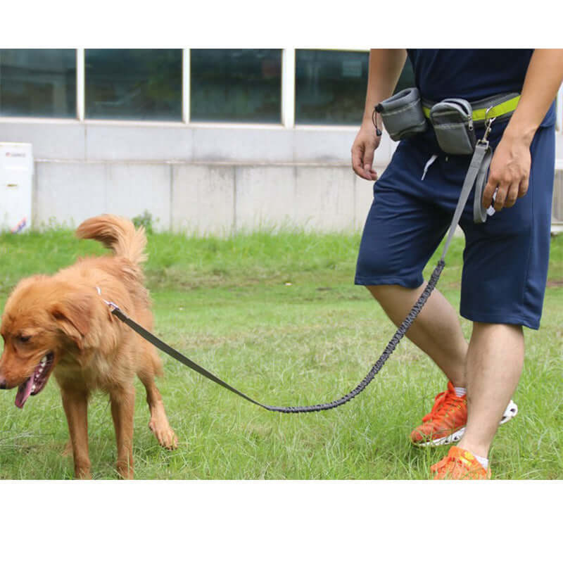 Man using an adjustable hands-free dog leash with a golden retriever in a grassy area.