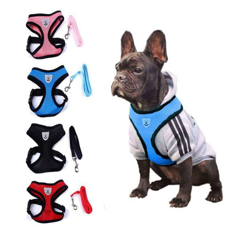 Breathable pet harness and leash set for dogs available in red, black, blue, and pink, ensuring comfort on walks.