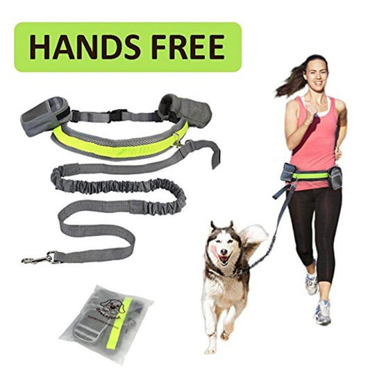 Adjustable hands-free dog leash set with bungee cord, belt, and waist bag for active dog owners.