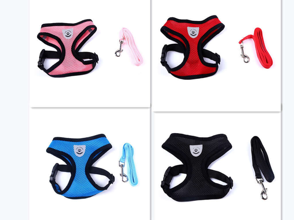 Colorful pet car seat belt and leash set in pink, red, blue, and black for secure and comfortable pet travel.