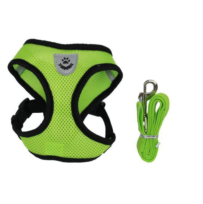 Bright green breathable mesh pet harness with matching leash for secure dog walking.