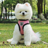 White fluffy dog in a pink harness sitting in grass, showcasing a pet leash with breathable mesh design.