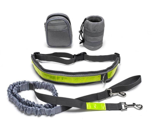 Adjustable hands-free dog leash set in gray with reflective details, includes waist belt, leash, and storage pouches.