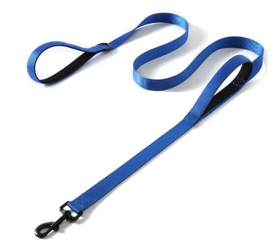 Blue double handle pull leash made of reflective nylon with a metal buckle for pets.
