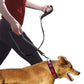 Person walking a dog using a double handle pull leash, showcasing its durable nylon and reflective strip design.