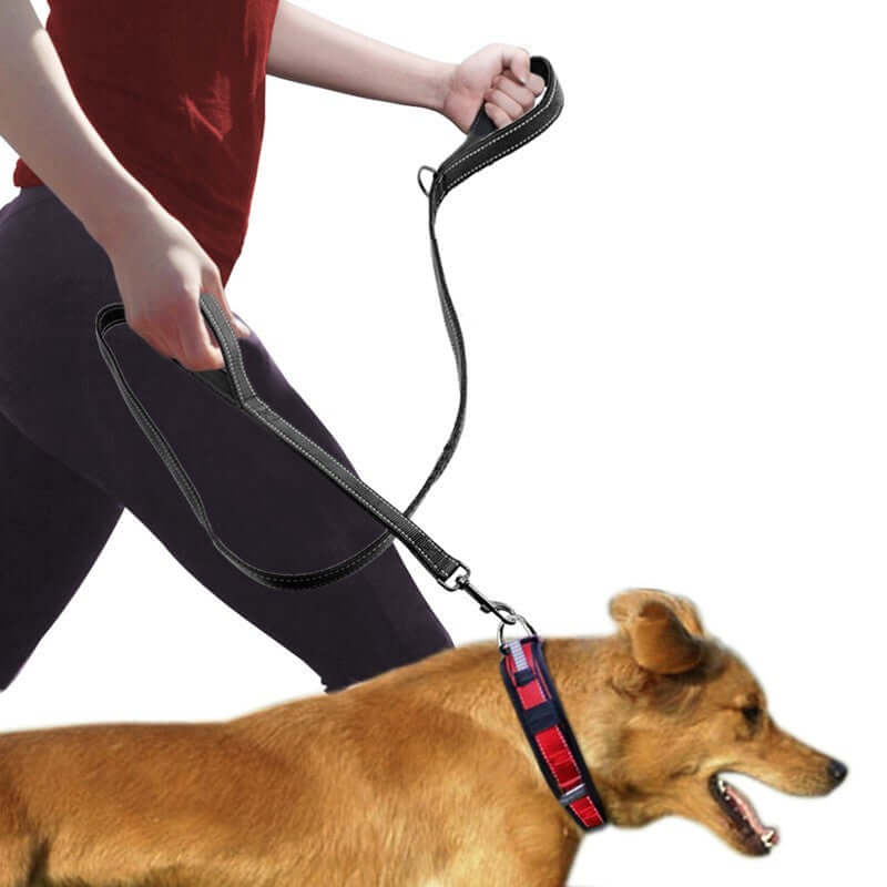 Person walking a dog using a double handle pull leash, showcasing its durable nylon and reflective strip design.