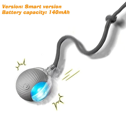 Smart Cat Car Toy – Keeps Your Cat Busy & Happy