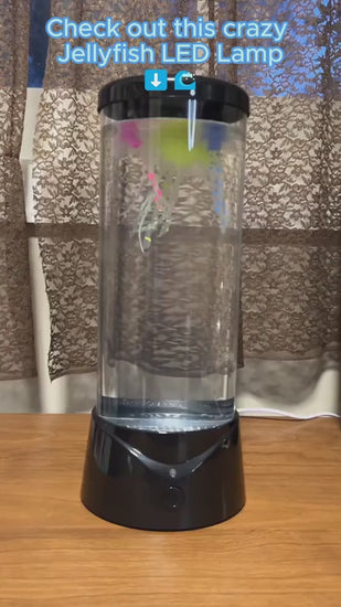 1.mp4