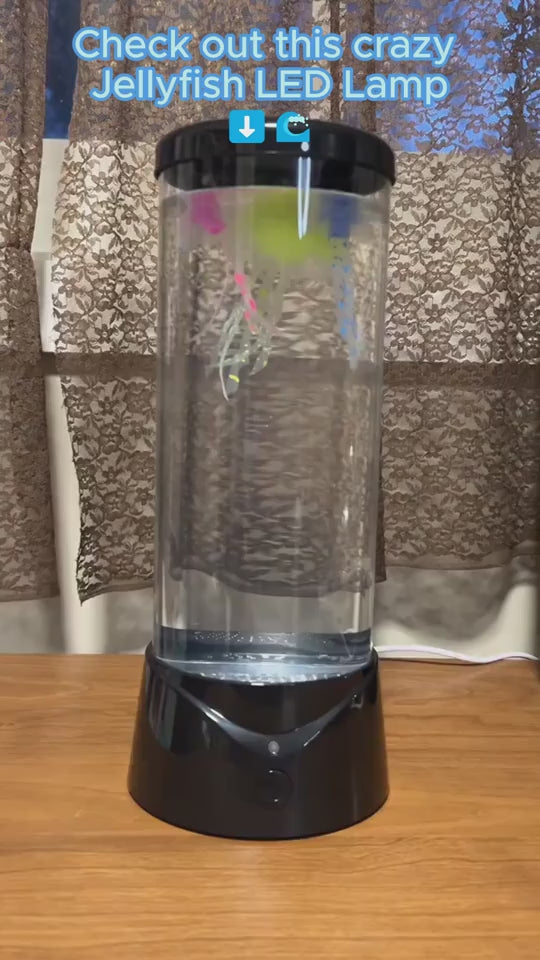 1.mp4